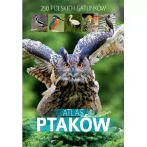 SBM Atlas ptaków - Dominik Marchowski - Rośliny i zwierzęta - miniaturka - grafika 1