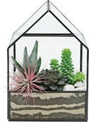 Dekoracje domu - Rośliny mix w terrarium domek - miniaturka - grafika 1