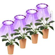 Pozostałe akcesoria do uprawy roślin - Lampa Led Plant Heckermann Pierścień Tsh-G1-2 - 4 Głowice - Fioletowy - miniaturka - grafika 1