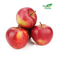 Owoce świeże i suszone - ŚWIEŻE Lumarko Jabłka Świeże Bio (Gala - Polska) (Około 1,00 Kg)! 6309 Bio - miniaturka - grafika 1