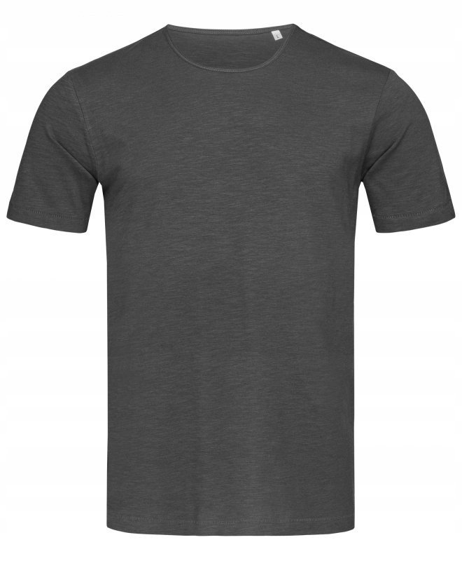 T-shirt męski Koszulka męska bawełniana STEDMAN ST9400 Slate Grey S