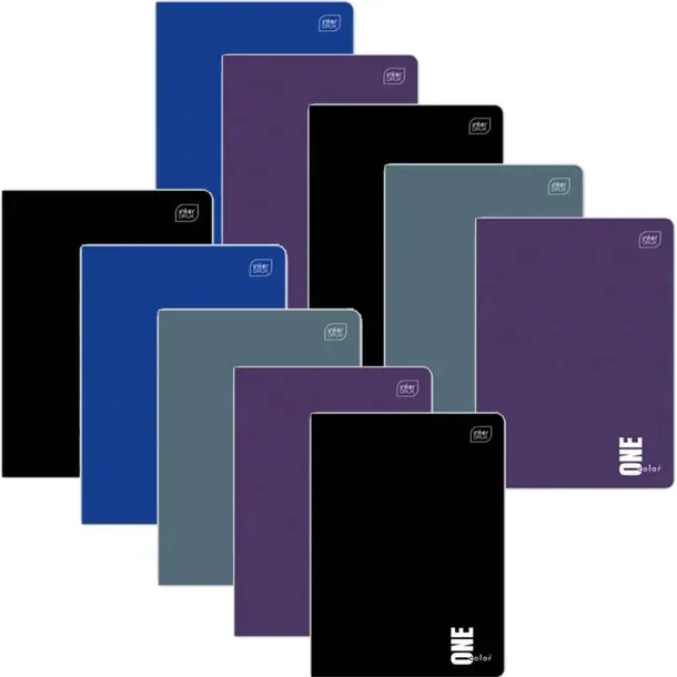 INTERDRUK ZESZYT SZKOLNY A5 60 kartek w kratkę ONE COLOR 10 sztuk