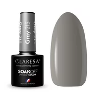 Lakiery hybrydowe - Claresa Claresa, lakier hybrydowy 213, 5 ml - miniaturka - grafika 1