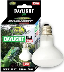 REPTILE NOVA Żarówka Grzewcza Uva - Reptile Nova Daylight 100W - Akcesoria do terrarium - miniaturka - grafika 1