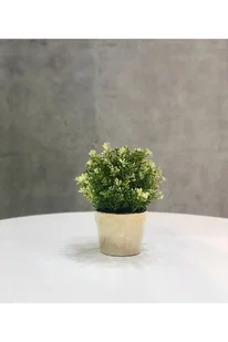 Donica ceramiczna - beżowa - Donice - miniaturka - grafika 2