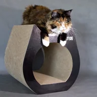 Drapaki dla kotów - Drapak dla kota Cat Black - miniaturka - grafika 1