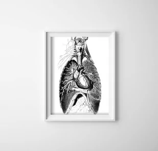 Plakat na ścianę Część ludzkiego ciała - Plakaty Plakat na ścianę Część ludzkiego ciała - Plakaty - miniaturka - grafika 1