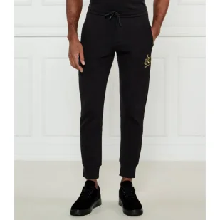 Emporio Armani Spodnie dresowe Lunar New Year Regular Fit - Dresy męskie - miniaturka - grafika 1