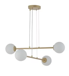 Sigma nowoczesny złoty żyrandol do salonu 33369 BALANS 4 lampa sufitowa klosze białe kule 33369 - Lampy sufitowe - miniaturka - grafika 1