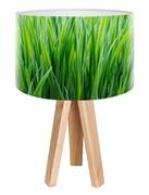 Lampy stojące - Macodesign Lampa biurkowa Wiosenna trawa mini-foto-162, 60 W - miniaturka - grafika 1