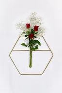 Kwietniki - Metalowy kwietnik wiszący Hex - miniaturka - grafika 1