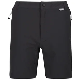 Męskie szorty Regatta Mountain ShortsII M Rozmiar: L-XL / Kolor: szary/czarny - Spodenki męskie - miniaturka - grafika 1