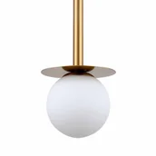 Lampy sufitowe - Roma 1pł. wisząca złota - miniaturka - grafika 1