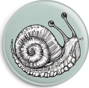 Magnes Ślimak - Magnesy - miniaturka - grafika 1