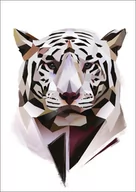 Plakaty - Biały Tygrys - plakat Wymiar do wyboru: 59,4x84,1 cm - miniaturka - grafika 1