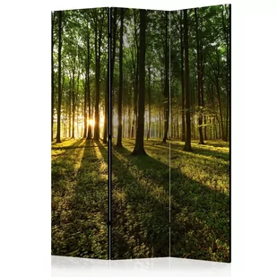 Parawan 3-częściowy - Poranek w lesie [Room Dividers] (rozmiar 135x172) - Parawany - miniaturka - grafika 1