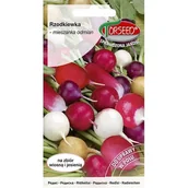Nasiona i cebule - TORSEED nasiona RZODKIEWKA MIESZANKA ODMIAN 10 G - miniaturka - grafika 1