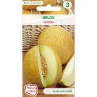 Nasiona i cebule - Melon Ananas nasiona W.Legutko - miniaturka - grafika 1
