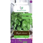 Nasiona i cebule - Bazylia właściwa nasiona W.Legutko - miniaturka - grafika 1