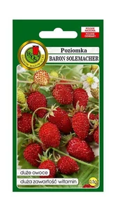 Poziomka Baron Solemacher 0,5 g PNOS Ożarów - Nasiona i cebule - miniaturka - grafika 1