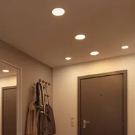 Oprawy, klosze i abażury - Paulmann panel LED Areo 4 000 K chrom 11,8cm - miniaturka - grafika 1