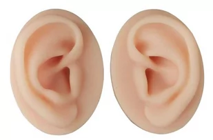 Model uszu do nauki akupunktury w wygodnym etui - model dydaktyczny z delikatnego silikonu imitującego małżowinę uszną - bezpieczna praktyka aurikulot - Meble i wyposażenie gabinetów medycznych - miniaturka - grafika 1