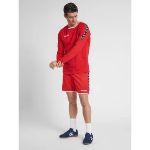 Bluza Hummel hmlAUTHENTIC Training - Piłka nożna - miniaturka - grafika 1