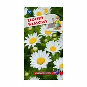 Nasiona i cebule - Złocień właściwy biały 1g / O / - miniaturka - grafika 1