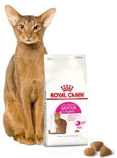 ROYAL CANIN  Exigent Savour 35/30 Sensation 2kg + niespodzianka dla kota GRATIS! - Sucha karma dla kotów - miniaturka - grafika 1