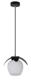 Lampa wisząca Malaga 1 - Lampy sufitowe - miniaturka - grafika 1
