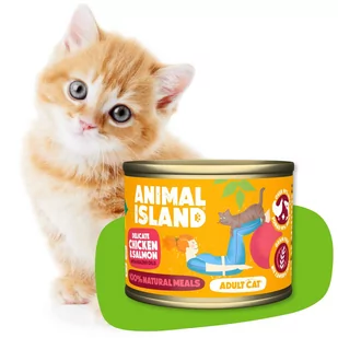 ANIMAL ISLAND Animal Island Mokra Karma Dla Kota Kurczak z Łososiem 200 g - Mokra karma dla kotów - miniaturka - grafika 1