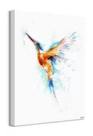 Obrazy i zdjęcia na płótnie - Kolorowy koliber  - obraz na płótnie - miniaturka - grafika 1