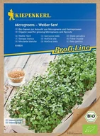 Nasiona i cebule - Gorczyca Weißer Senf - nasiona na microgreens - Kiepenkerl - miniaturka - grafika 1