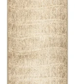 Dywany - Tytus Beż - miniaturka - grafika 1