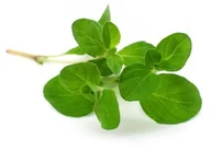 Akcesoria jeździeckie - EQUIHERBS Majeranek 1 kg - miniaturka - grafika 1