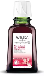 Weleda Dental Care płyn do płukania jamy ustnej 50 ml - Płyny do płukania jamy ustnej - miniaturka - grafika 1