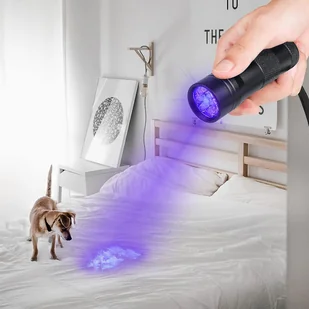 Latarka Czarne światło 2 sztuki, lampa UV, detektor moczu zwierząt domowych Lampa ręczna UV do suszonych plam z moczu od psów i kotów - Latarki - miniaturka - grafika 1