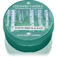 Świece - Country Candle White Birch & Rain świeczka typu tealight 42 g - miniaturka - grafika 1
