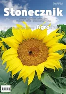 Dom i ogród - Słonecznik. Uprawa, odmiany, nawożenie, ochrona, zbiór, wiedza praktyków - miniaturka - grafika 1