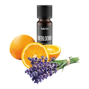 Olejek eteryczny Stadler Form Rebloom - Akcesoria i części AGD Olejek eteryczny Stadler Form Rebloom - Akcesoria i części AGD - miniaturka - grafika 1