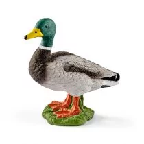 Schleich Kaczor GXP-575318 - Figurki dla dzieci - miniaturka - grafika 2