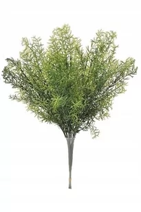 ASPARAGUS GAŁĄZKA 60CM 12 SZT - Sztuczne kwiaty - miniaturka - grafika 1