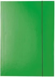 TECZKA KARTONOWA ESSELTE LAKIEROWANA A4 Z GUMKĄ 400 G/M2, ZIELONY - Teczki i skoroszyty - miniaturka - grafika 1