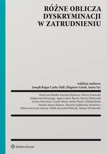 Różne oblicza dyskryminacji w zatrudnieniu - E-booki - prawo - miniaturka - grafika 1
