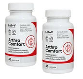 Suplementy i witaminy dla psów - LAB-V Arthro Comfort – Kompleksowe wsparcie zdrowia stawów oraz układu ruchu dla psów i kotów 2x45 kapsułek - miniaturka - grafika 1