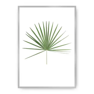Dekoria Dekoria Plakat Tropical Leaf Green 21 x 30 cm Ramka Srebrna 218B-000-14 - Plakaty - miniaturka - grafika 1