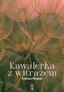 Powieści historyczne i biograficzne - kawalerka z witrażem - miniaturka - grafika 1