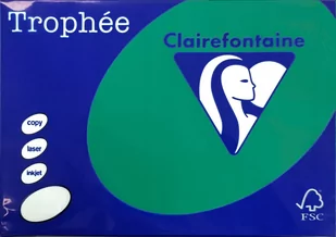 Clairefontaine Papier xero kolorowy A4 MIĘTOWY 80G karton- 5 ryz - Papier do drukarek - miniaturka - grafika 1