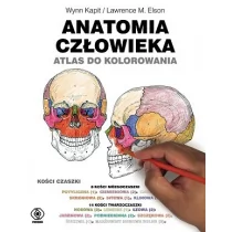 Anatomia człowieka. Atlas do kolorowania - Książki medyczne - miniaturka - grafika 1