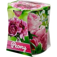 Świece - Świeca zapachowa VERONA piwonia - miniaturka - grafika 1
